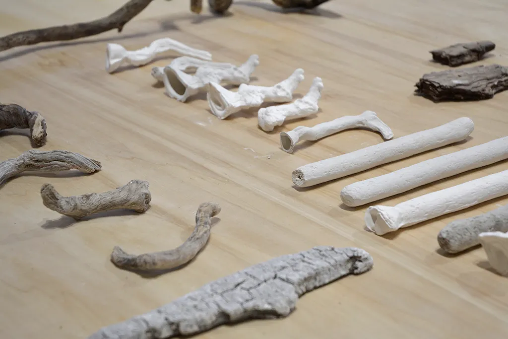 LA FORÊT VERTICALE -7