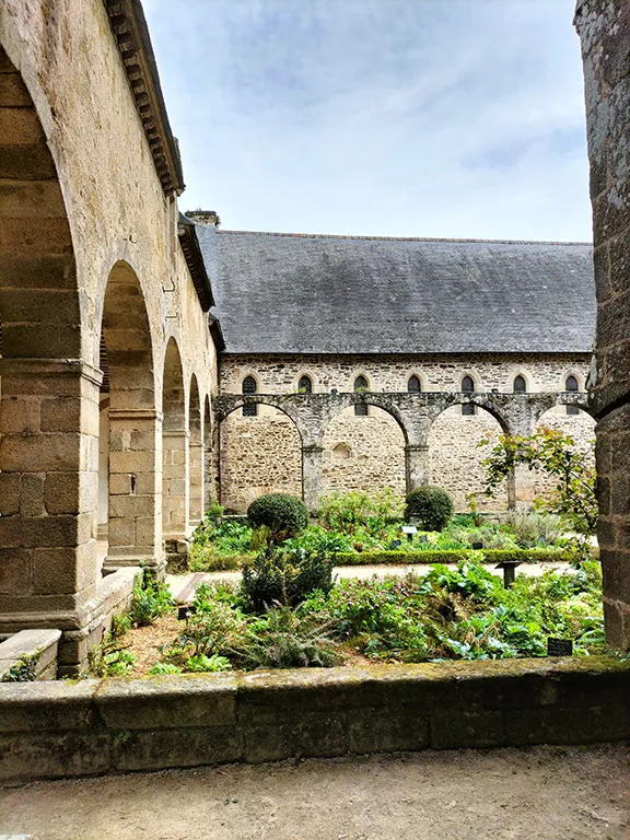 LA FORÊT VERTICALE -9