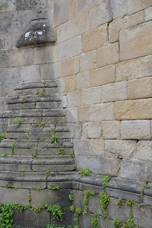 LA FORÊT VERTICALE -10